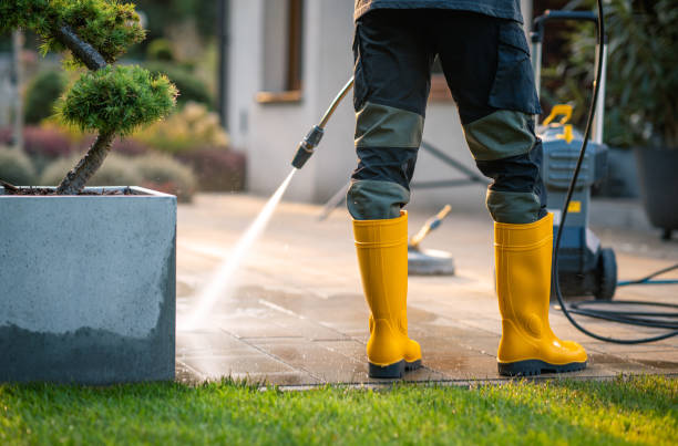 Best Commercial Building Pressure Washing  in Humble, TX